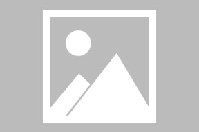 世界游泳接力队人员配置与策略深度分析，游泳接力赛队员